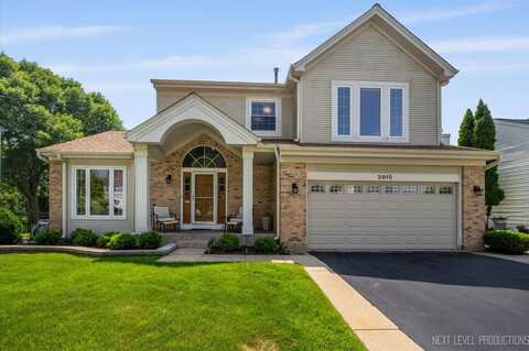 3910 Blackberry Drive, Lake In The Hills, IL 60156
