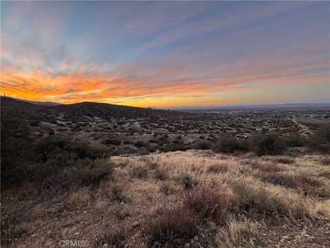 0 202 Ave X #4, Llano, CA 93544