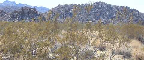 66250 Sullivan Road, Joshua Tree, CA 92252