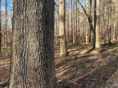 1500 Burton Loop Road, Altoona, AL 35952