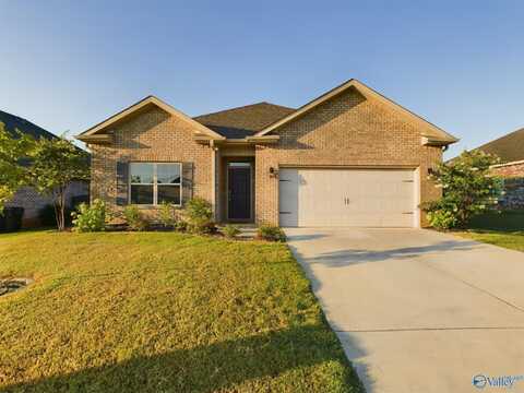 126 Mary Caudle Way, Madison, AL 35756
