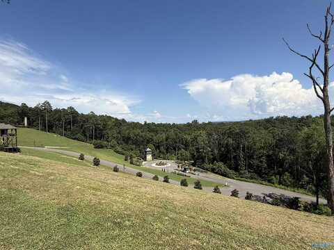 Lot 18 Fall Creek Drive, Guntersville, AL 35976