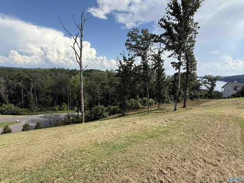 Lot 19 Fall Creek Drive, Guntersville, AL 35976