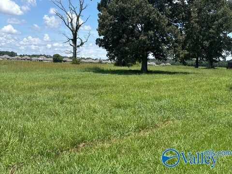 13.61 Acres Alabama Highway 251, Toney, AL 35773