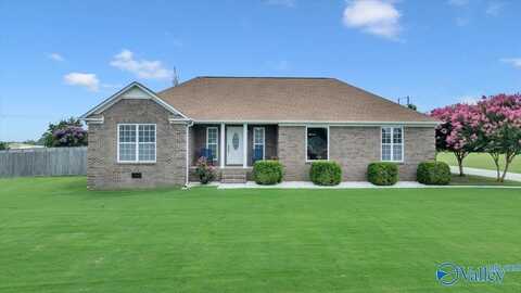 26556 Peek A Boo Street, Athens, AL 35613