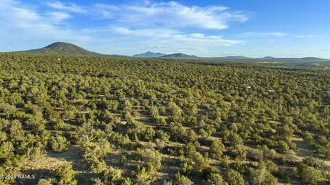 591 E Deerlick Trail, Williams, AZ 86046