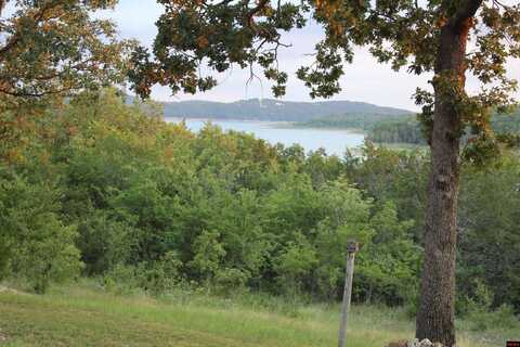 330-00004-000 LAZY ACRES ROAD, Protem, MO 65733