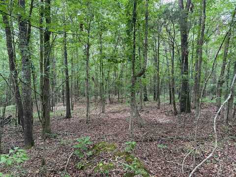 CR 478, Oxford, MS 38655
