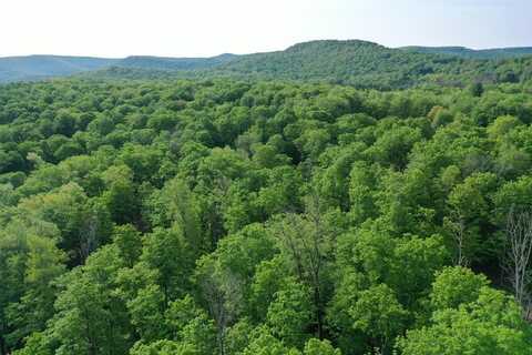 000 Canada Hollow Road, Millport, PA 16748