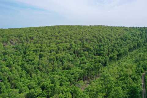 000 Hwy 44, Oswayo, PA 16915