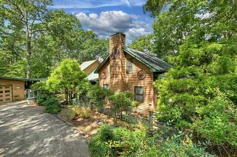 88 Wagon Tracks Ridge, Mineral Bluff, GA 30559