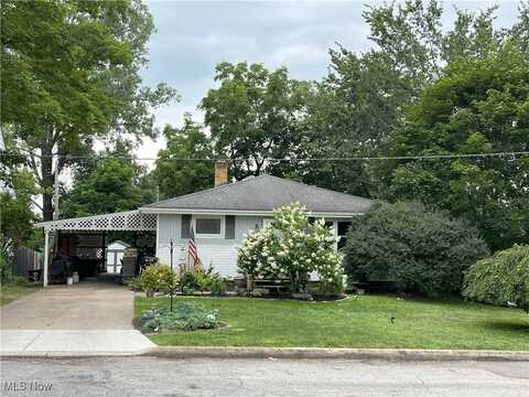109 Park Street, Lodi, OH 44254