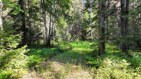 238 RUSTIC RD, CUSICK, WA 99119