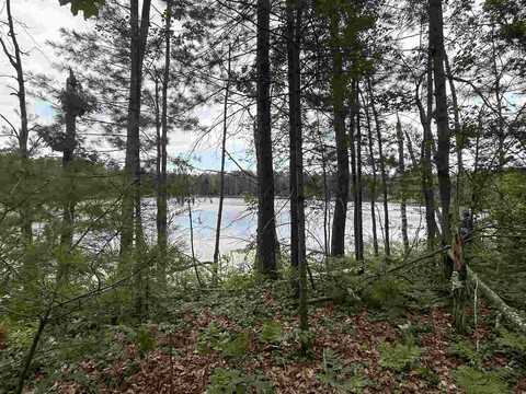 Lot 27 S Perch Lake, Gaylord, MI 49735