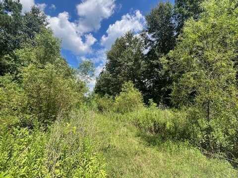 TBD Spring Creek Dr, Nacogdoches, TX 75965