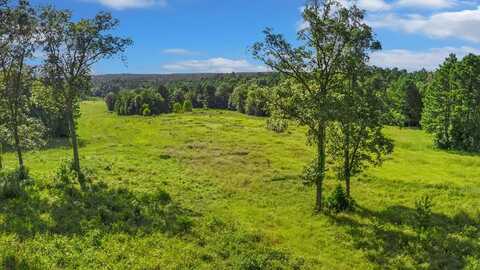TBD CR 3100, San Augustine, TX 75972