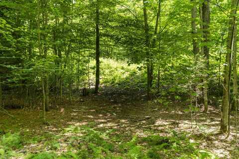 TBD Taylor Road, Duxbury, VT 05660