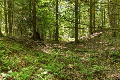 TBD Arbor Lane, Duxbury, VT 05660