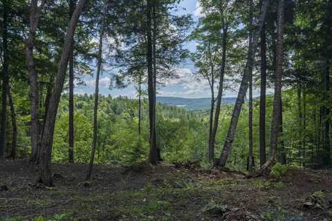 TBD Arbor Lane, Duxbury, VT 05660