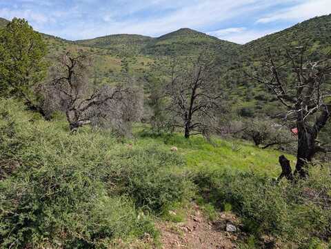 101 Tejano Canyon, Fort Davis, TX 79734