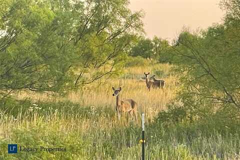 0000 FM 3102, Paducah, TX 79248