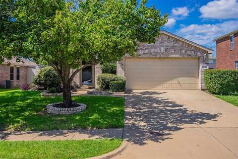 14805 Broadview Drive, Balch Springs, TX 75180