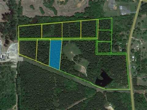 Tract 10 Fm 2208, Longview, TX 75605