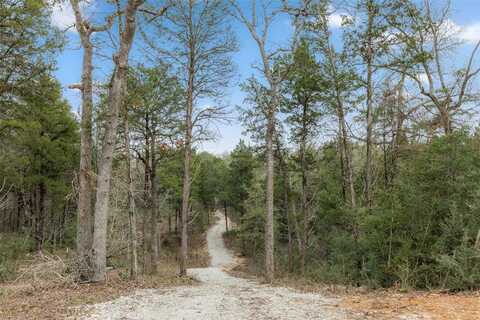Tbd County Road 389, Jewett, TX 75846