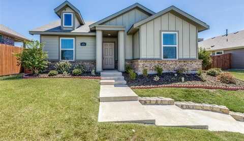 3859 Star Mesa Street, Crandall, TX 75114