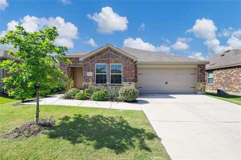 1224 Briar Hill Drive, Denton, TX 76207