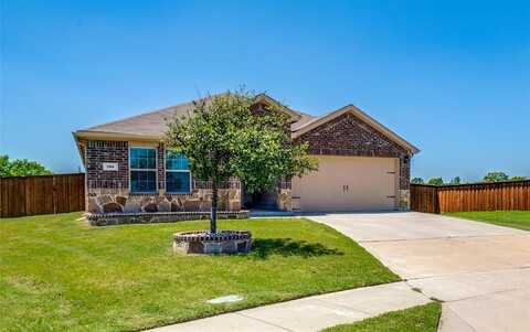 700 Meadow Creek Lane, Josephine, TX 75189
