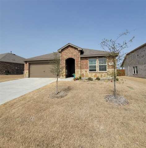1325 Western Stream Drive, Josephine, TX 75135