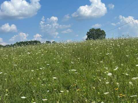 Tract# 19 Statham Rd, Liberty, KY 42539