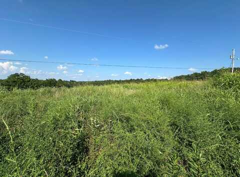 Tract #19 Statham Rd, Liberty, KY 42539