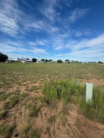 #15 Quail, Logan, NM 88426