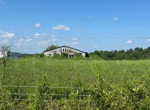 Tract #22 Statham Rd, Liberty, KY 42539