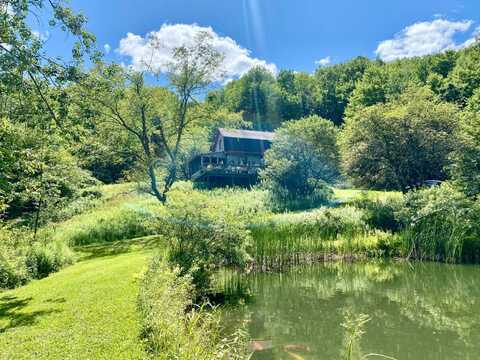587 Richardson Hill Rd, Sidney Center, NY 13839
