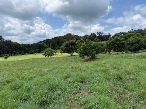 11311 Alabama Hwy 9, Cedar Bluff, AL 35973