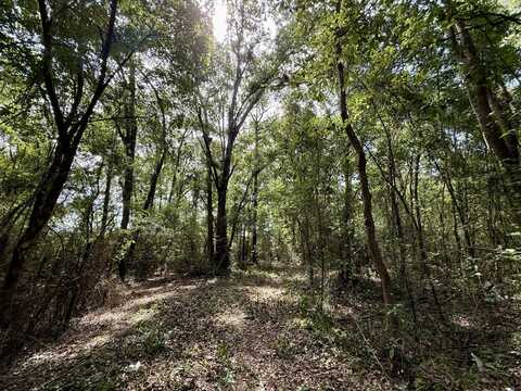 0 Serenity Gardens Road, Theodore, AL 36582