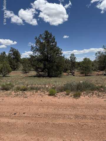 56045 Mesa Parkway, Seligman, AZ 86337
