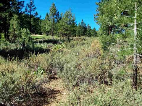 1175 Great Spirit, Portola, CA 96122