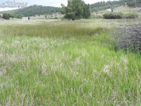 6 Kiva Path, Lake George, CO 80827