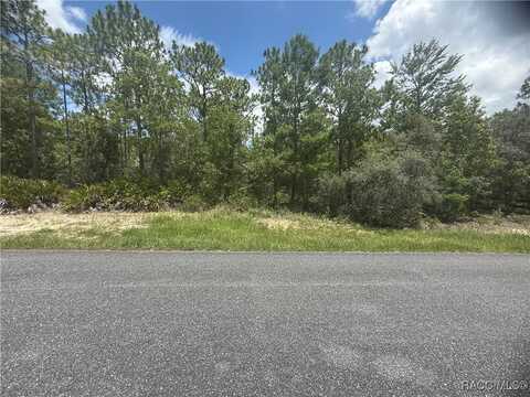 5199 W Yuma Lane, Beverly Hills, FL 34465