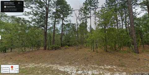 2209 W Linden Drive, Citrus Springs, FL 34434