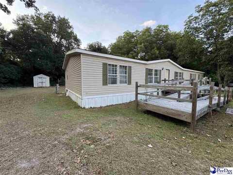 308 Jackson Street, Hartsville, SC 29550