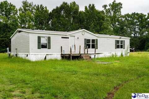 6307 Jordan Rd, Effingham, SC 29541