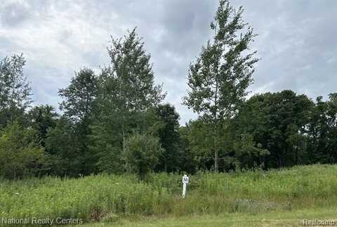 5247 Birch Lane, Davisburg, MI 48350