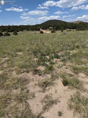 1739 17th Trail, Cotopaxi, CO 81223