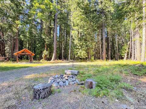 106 MAPLE CT, Packwood, WA 98361