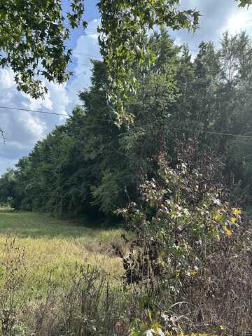 0 Mitchell Rd, Greenfield, TN 38230